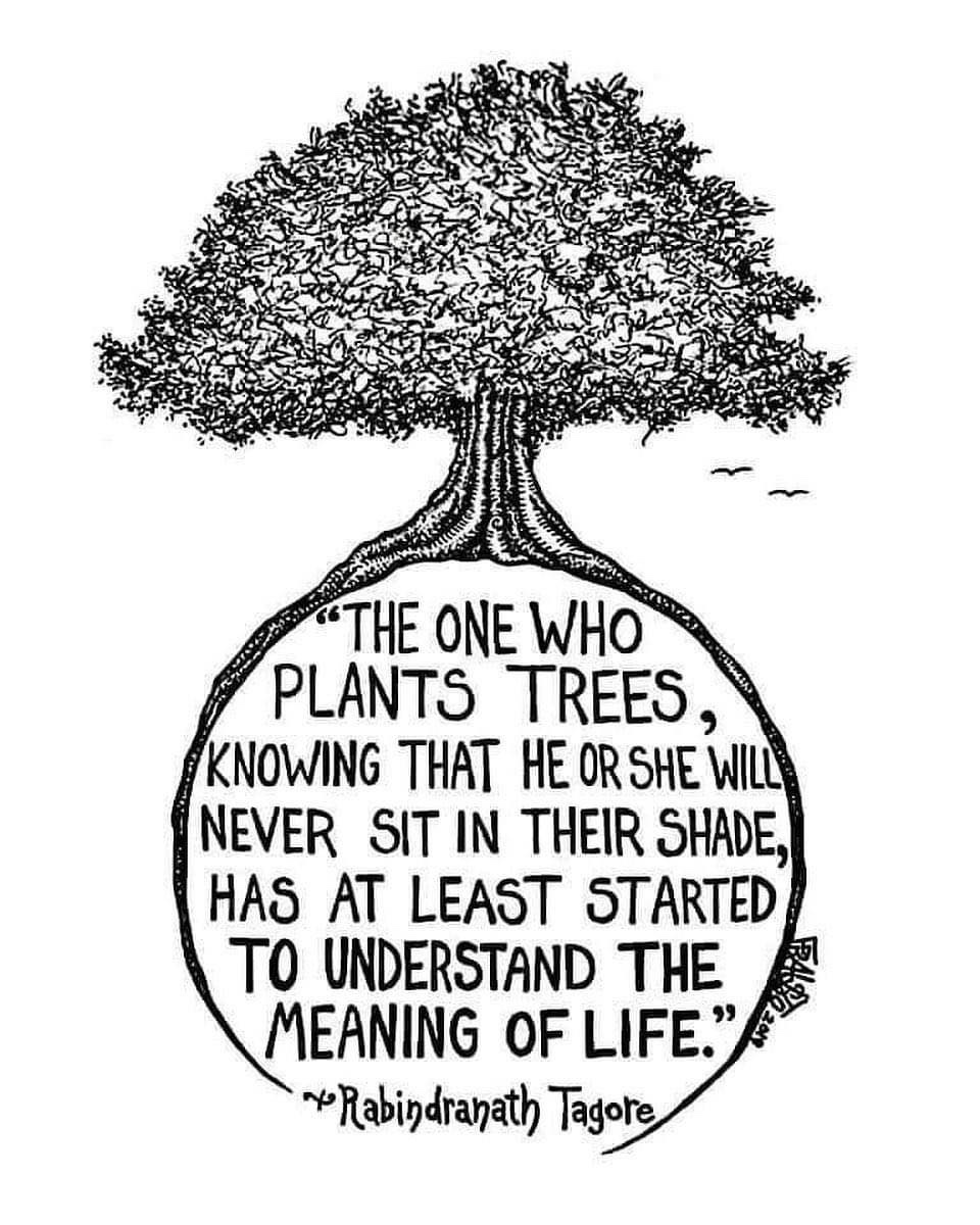 Planta un árbol