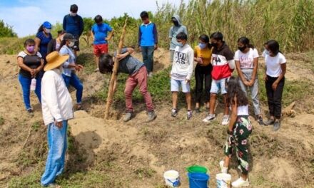 Iniciativa ciudadana busca reforestar para enfrentar la crisis climática