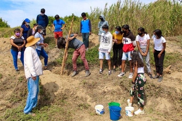 Iniciativa ciudadana busca reforestar para enfrentar la crisis climática