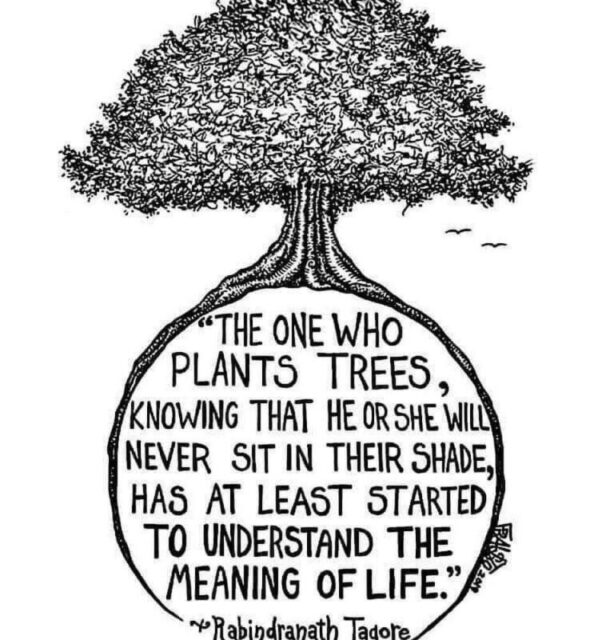 Un árbol por nuestro Planeta